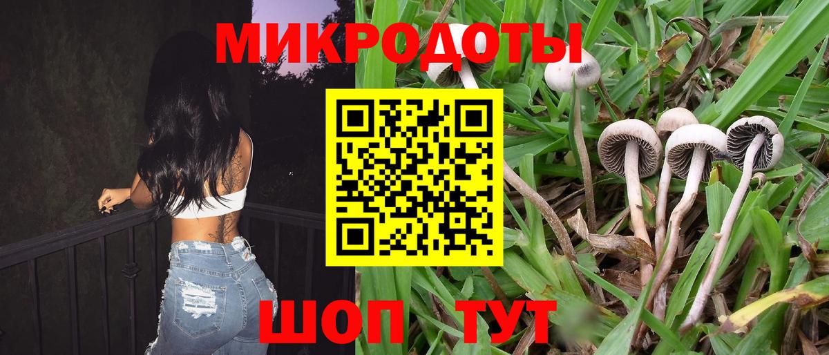 Гусь-Хрустальный  Галлюциногенные грибы прущие грибы  Вход с VPN  Псилоцибиновые грибы Psilocybe 